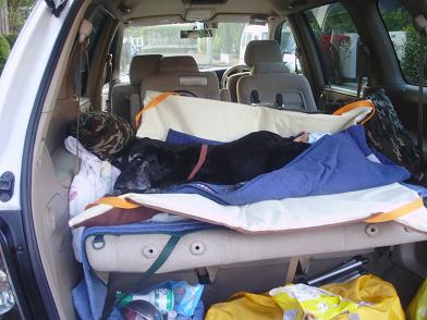 イー君にもらった