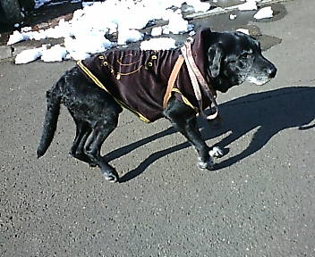 お天道様はいい