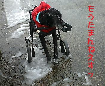 一昨日の雪