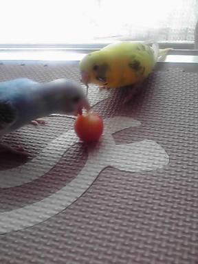 11-07-17_003.jpg
