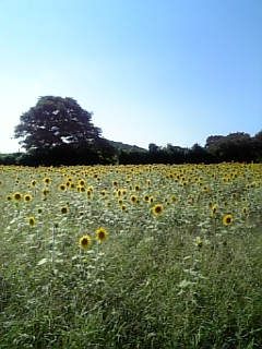 070811_145019.jpg