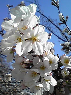 080325_1313~01.JPG