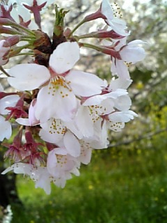 070412_095653.jpg