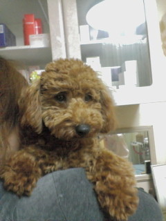 2010-02-20 21:21:48らいちゃん2