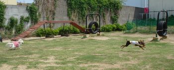DSC03751.JPG