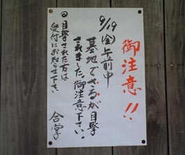 CA390244.JPG