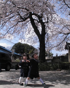 入園式　桜の木の下で.jpg