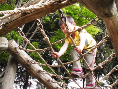 運動公園 アスレチック.jpg