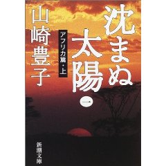沈まぬ太陽.jpg