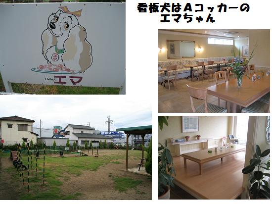 店内.JPG
