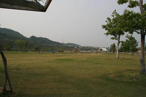 IMG_3569.JPG
