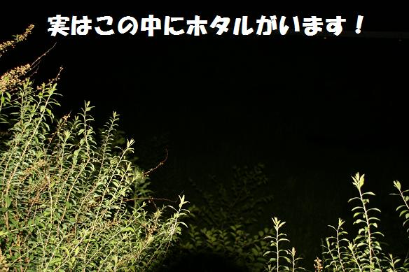 IMG_0085.JPG