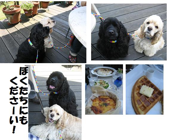 ランチ.JPG