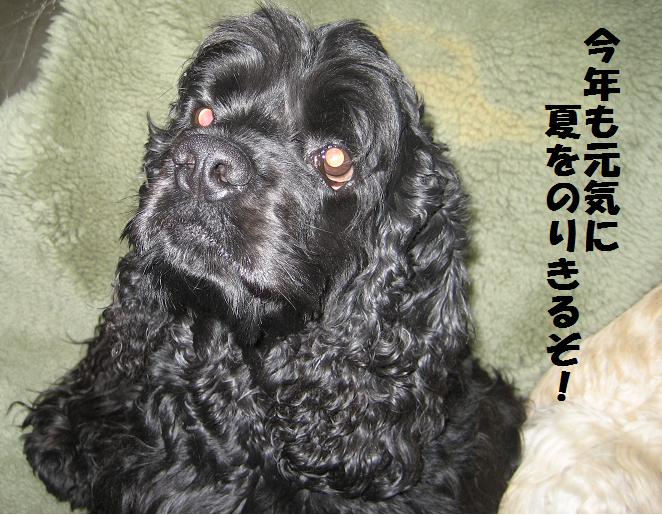 スパイク.JPG