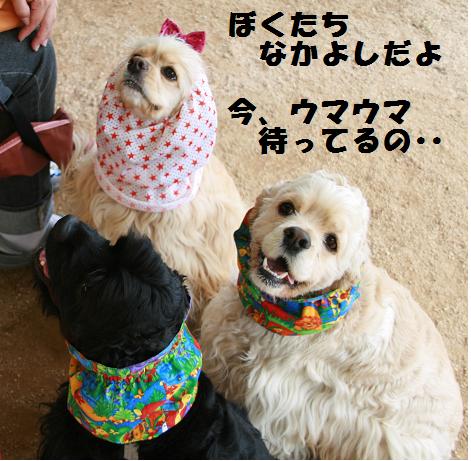 うまうま.JPG