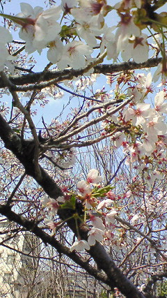 2008-04-06 14:00:45