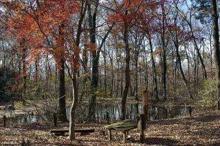 IMGP00241.jpg