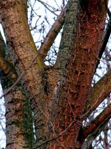 DSCF3901-1.jpg