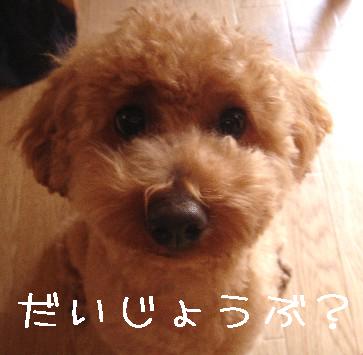 湯たんぽ