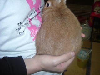 みくまんじゅう1