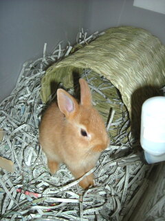 小さい頃のみく