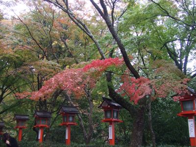 鞍馬の紅葉.jpg