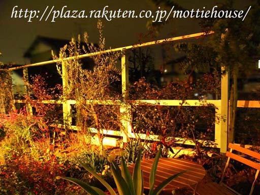 正面の木柵設置後