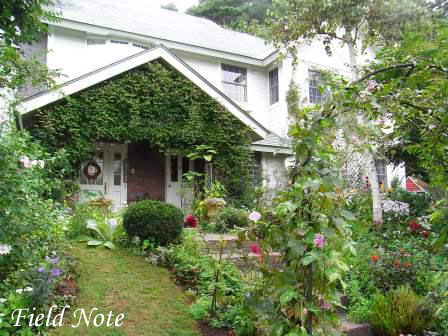 フィールドノート2