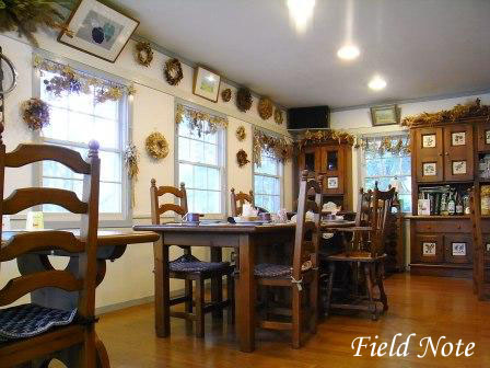 フィールドノート4