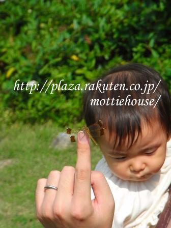 ガーデンソイル4