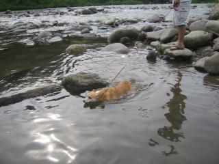 新しいフォルダ(9) 008.jpg