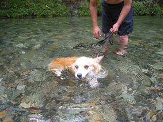 新しいフォルダ(9) 024.jpg