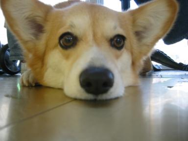 新しいフォルダ 006.jpg