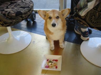 新しいフォルダ 009.jpg