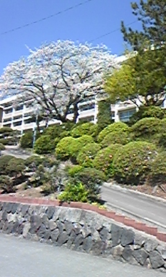 DVC00241.JPG