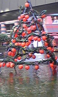 DVC00117.JPG