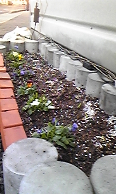 植え付け直後の花壇