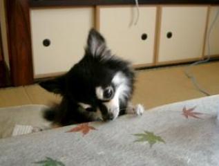 2008-06-01 13:50:41