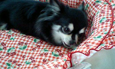 080609_1104~0001.jpg