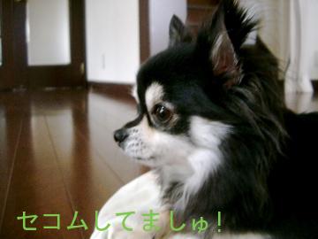IMGP2213.jpg