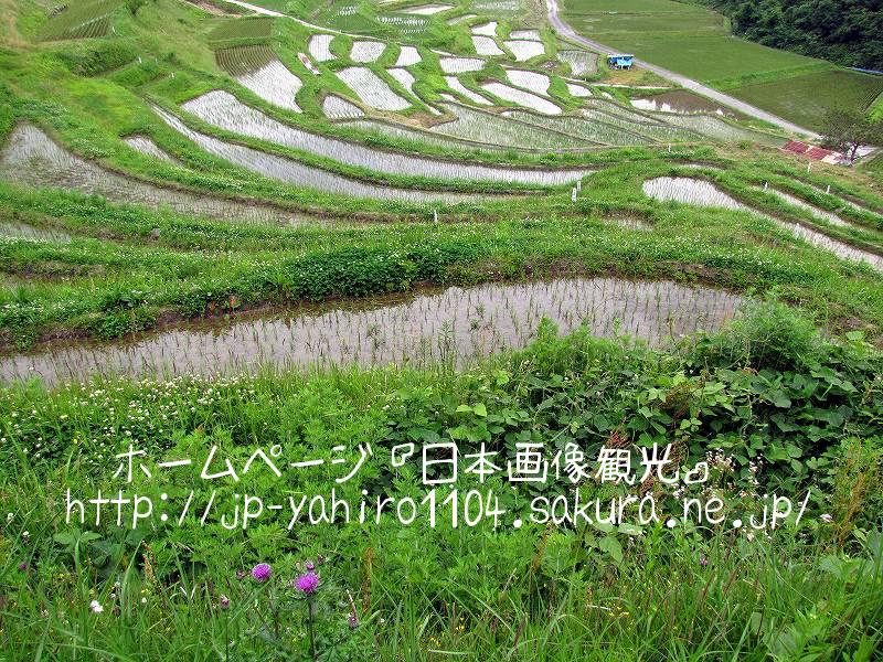 長野・棚田百選、飯田市のよこね棚田２