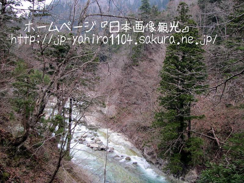 秋田・白神山地、太良峡と自然の秋田杉