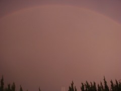 greatful sky