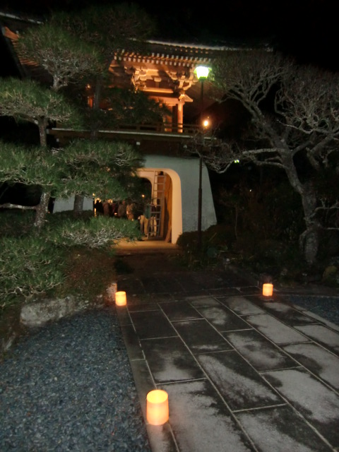 CIMG0031.JPG