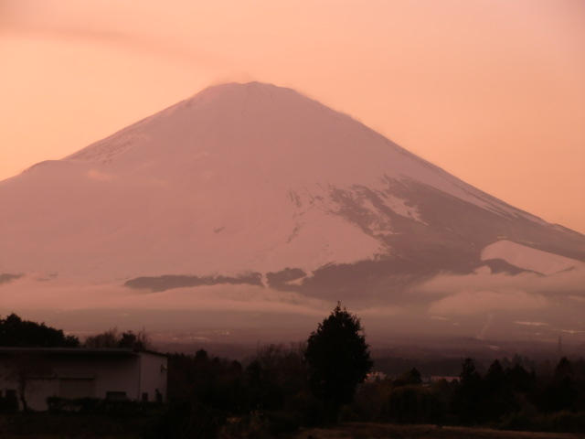 CIMG0110.JPG