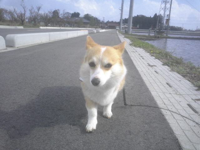 P1004184.JPG