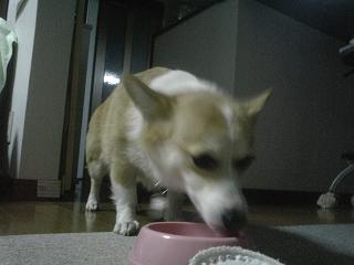 P10007841.JPG