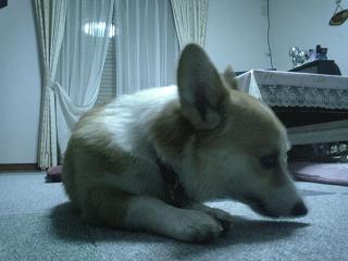 P1000548.JPG