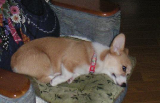 PICT0006.JPG