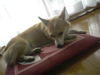 P1000741.JPG